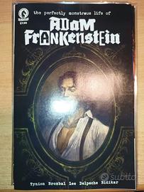 The Perfectly Monstrous Life Of Adam Frankenstein