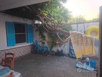 Baia domizia casa indipendente