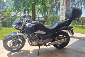 Suzuki Inazuma 250
