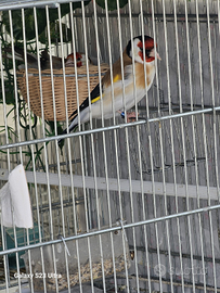 Ultimi prezzo speciale