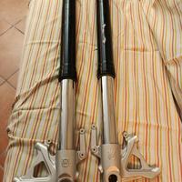 forcelle Husqvarna nuda 900