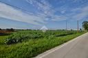 ter-agricolo-a-san-dona-di-piave