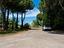 Immagine 10