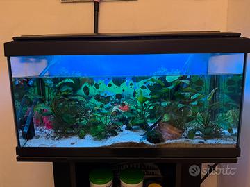 Acquario completo