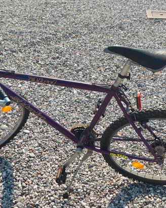 bici.
