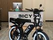 Nuova Bici Elettrica Bicy vita White edition