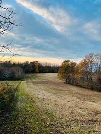 Vendita terreno agricolo
