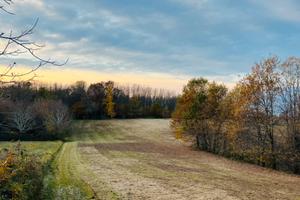 Vendita terreno agricolo