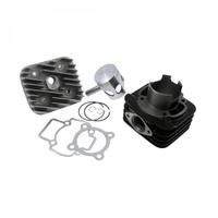 Gruppo termico 48 mm Dr Evo Piaggio Zip evolution
