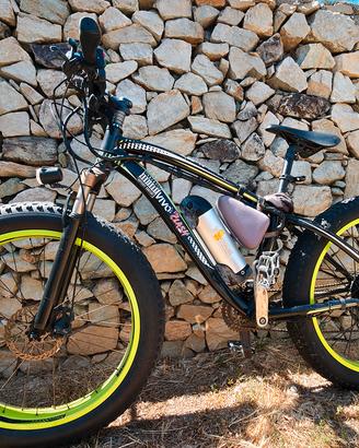 Mountain bike elettrica