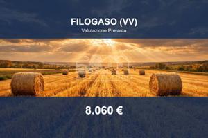 Immobile in asta di 20350 m² a Filogaso