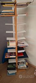 LIBRERIA A COLONNA