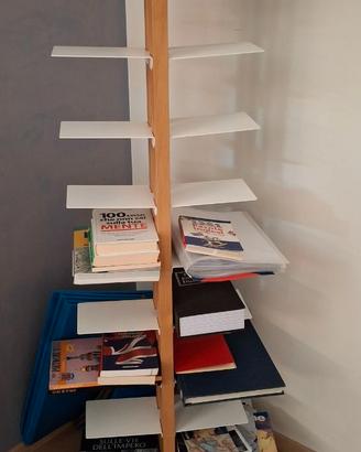 LIBRERIA A COLONNA