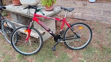 biciclette 