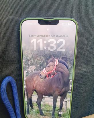 iPhone 13 pro max 128 g