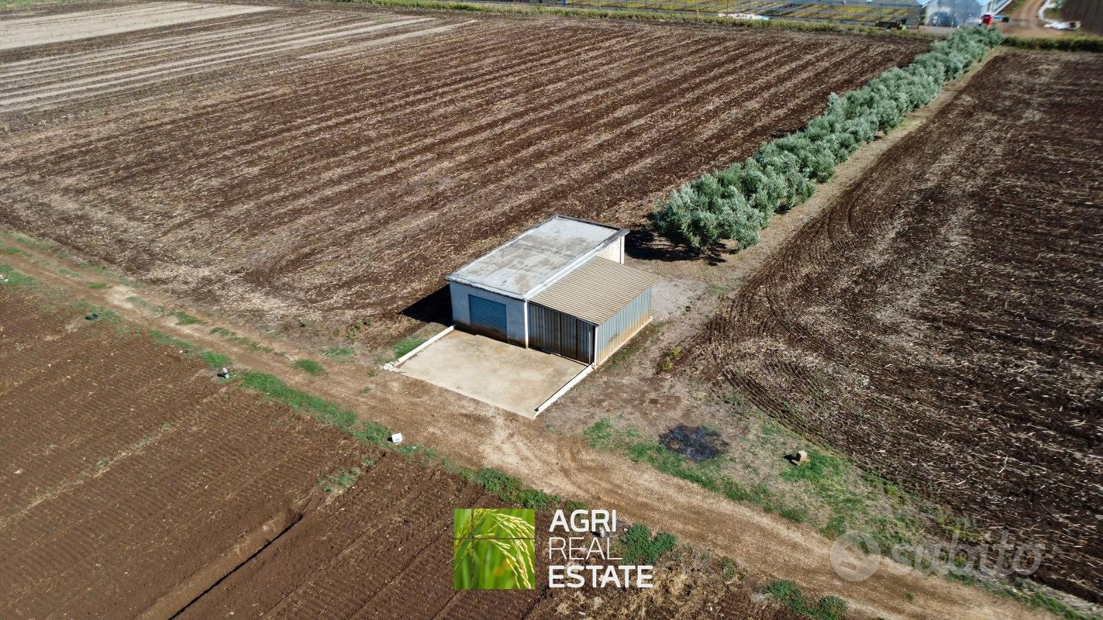 Terreno agricolo 7 HA fronte strada con magazzino - Altro