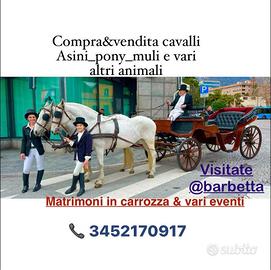 Matrimoni in carrozza o eventi