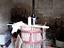 Immagine 24