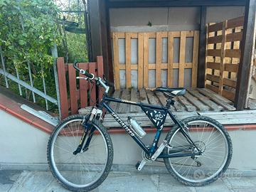 Mountain bike Specialized