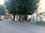 Immagine 19
