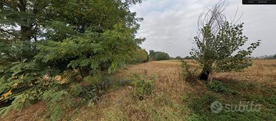 Terreni agricoli - Abbiate Guazzone/Tradate