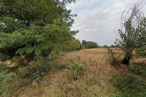 Terreni agricoli - Abbiate Guazzone/Tradate