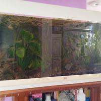 acquario juwel Rio 180