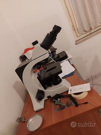 microscopio  