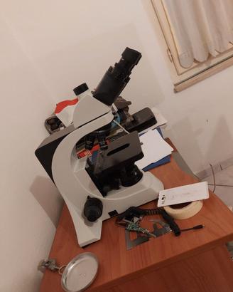 microscopio  