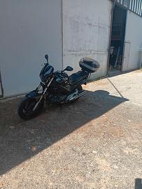 TDM 900