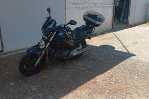 TDM 900