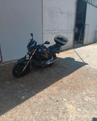 TDM 900