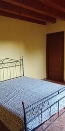Mini per single