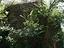 Immagine 19