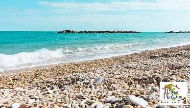 VENDITA IN ASTA - PORTO RECANATI