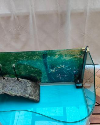Terrario in vetro per tartarughe