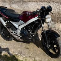 Aprilia Europa Af1 50
