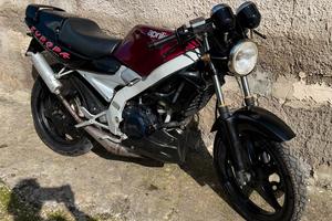 Aprilia Europa Af1 50