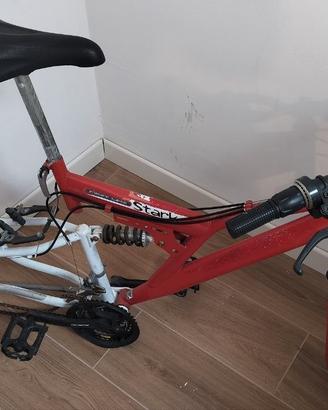 Mountain Bike  Stark First Line