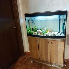 Acquario completo di mobile, filtro esterno Askoll