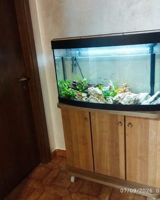 Acquario completo di mobile, filtro esterno Askoll