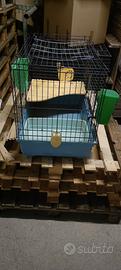 gabbia coniglio criceti cavie