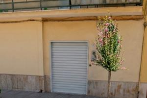 Negozio fronte strada Santa Maria C.V