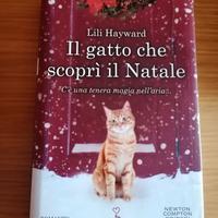 libro romanzo