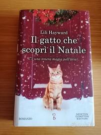 libro romanzo