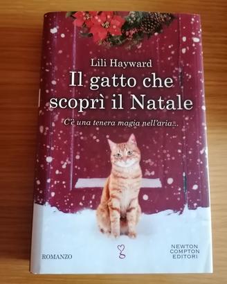 libro romanzo