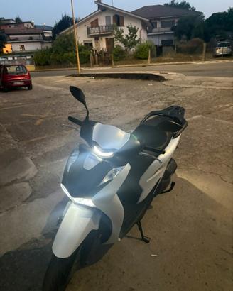 Sh 125 sport 2025