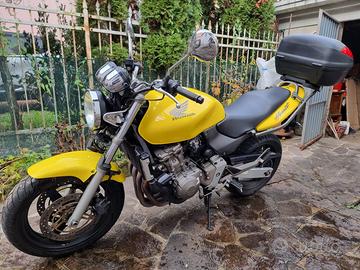 HORNET 600