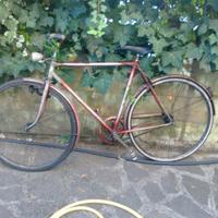 Bicicletta Tudor