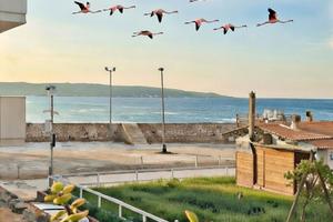 Casa campisi a 100 dal mare marzamemi